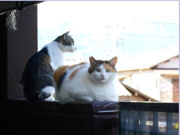 6月16日（22）仮