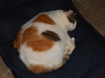 9月28日（23-3）仮