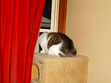 10月23日（83）仮