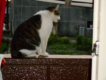 9月20日（5-29）仮