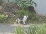 4月22日(12)仮