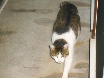 12月29日（15）仮