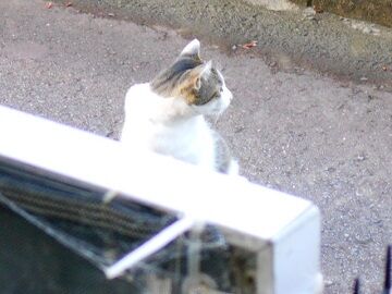 6月24日（43）仮