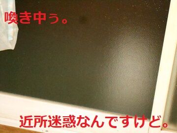 4月12日（41）仮