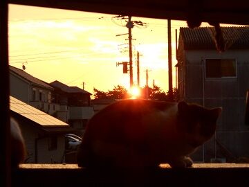 10月2日（23）仮