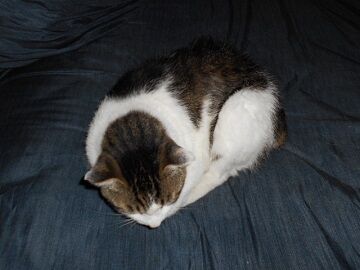 6月25日（22）仮