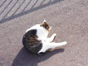 12月24日（20）仮