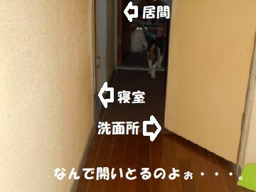 8月22日（21）仮