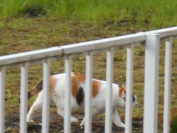 9月14日（6-10）仮