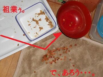 7月16日(52)仮