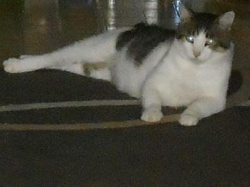 7月19日（25）仮