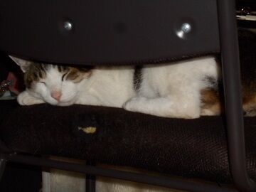 9月29日（10-2）仮