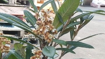 12月12日(18)
