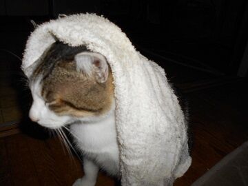 9月27日（18-21）仮