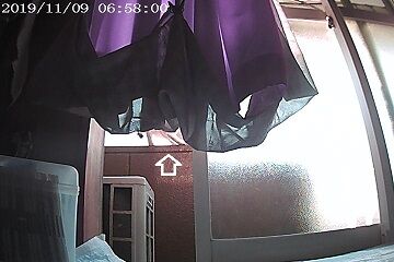 11月9日（11）仮