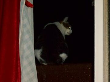 9月20日（19-6）仮