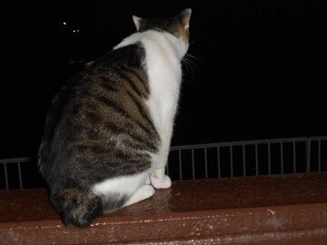 9月13日（23-8）仮