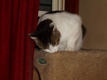 9月27日（19-16）仮