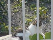 4月30日(3)仮