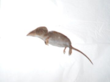 10月23日（29）仮