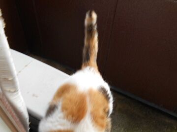 6月26日（25）仮