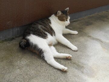 9月13日（7-6）仮