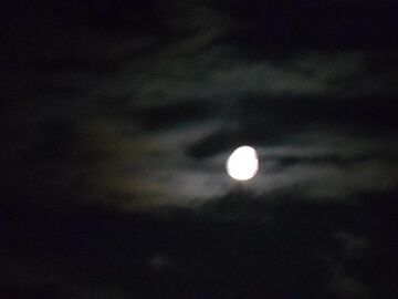 10月1日（18-8）仮