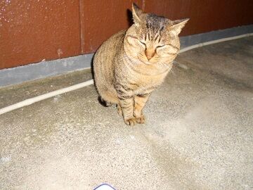 12月13日（52）仮