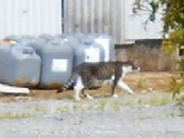 5月22日（62）仮 - コピー