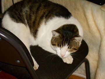 5月10日（42）仮