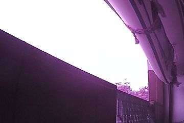 12月30日（5.95）仮