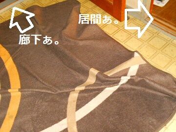 5月6日(2)仮
