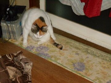 9月27日（18-1）仮