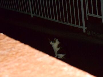 10月20日（49）仮