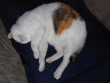 9月25日（7-1）仮