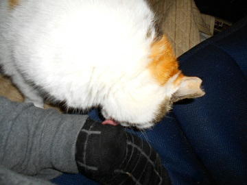 4月26日（20）仮