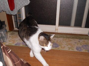 10月7日（22-9）仮