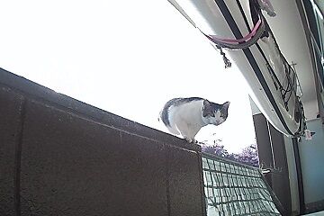 11月10日（79）仮