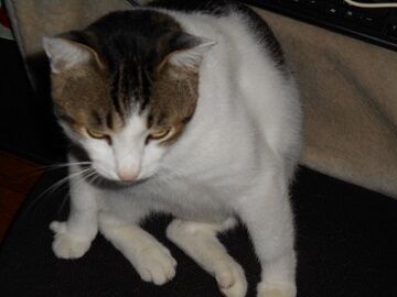 9月26日（6-7）仮