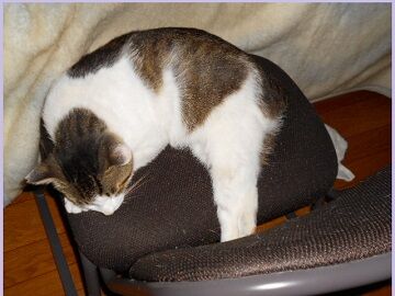 6月24日（12）仮