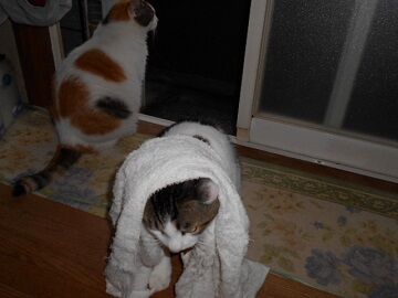 9月8日（5-6）仮