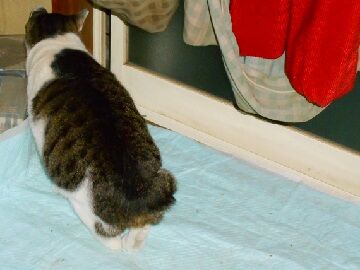 12月9日（39）仮