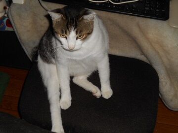 9月26日（6-11）仮