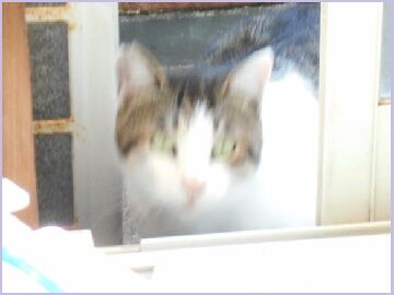 9月26日（46）仮