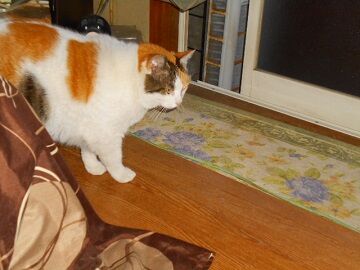 5月1日（5）使用