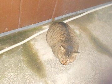 12月17日（19）仮