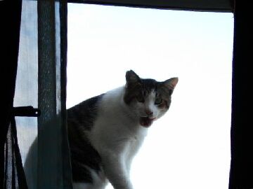 9月20日（50）仮