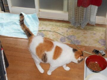 7月14日（47）仮