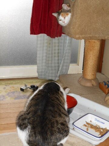 10月2日（15-5）仮