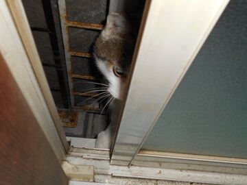 9月18日（39）仮